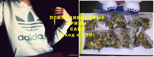крисы Пересвет