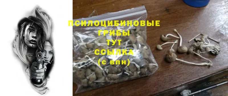 Галлюциногенные грибы GOLDEN TEACHER  hydra ТОР  Слюдянка  где купить наркотик 